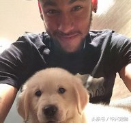 世界杯來了！讓我們扒一扒這些超級巨星們都在
