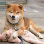 相信你也害怕遇到這幾種人吧？