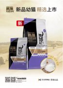 爵加新品幼貓精選上市！