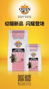 奧丁精品幼貓糧閃耀登場(chǎng)！?。?></div>
                <div>
                    <h2>奧丁精品幼貓糧閃耀登場(chǎng)?。。?/h2>
                    <div><span>2019-06-27

</span><span>查看更多</span></div>
                </div>
            </a><li>
             <a href=